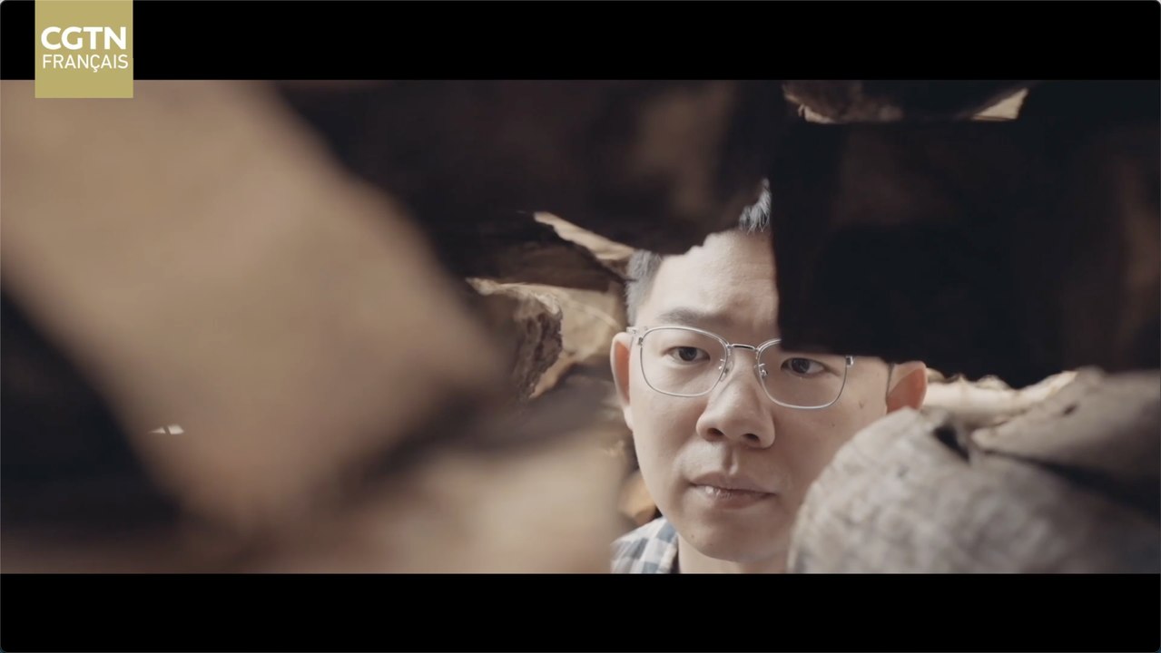 【Chine-Afrique 2035: redéfinir le futur】Le 18 septembre, c’est la Journée mondiale du bambou !