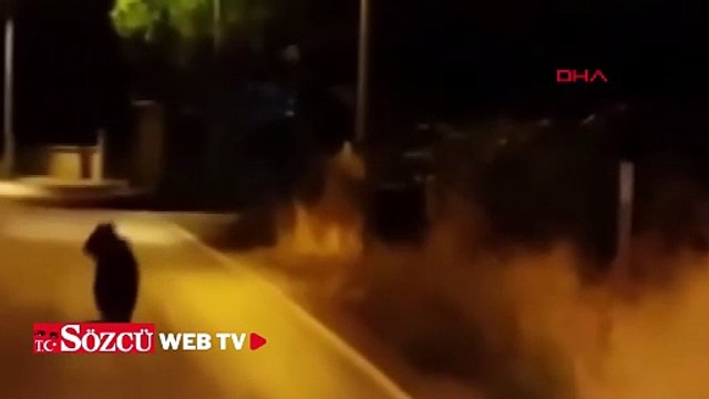 Köye inen ayı otomobilden koşarak kaçtı; o anlar kamerada