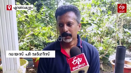 20 കിലോ തൂക്കം വരുന്ന ബ്രസീൽ ജൈൻ്റ് മുതൽ ഇത്തിരിക്കുഞ്ഞനായ ബ്ലാക്ക് ലീഫ് വരെ; ഡയസിൻ്റെ തോട്ടത്തിലുള്ളത് 150 ഇനം പൈനാപ്പിളുകള്‍!