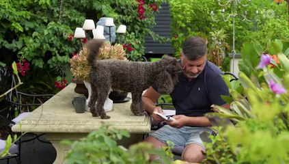 Dogs Behaving (Very) Badly Australia (2023) Season 3 Episode 1