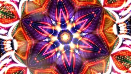 You Have to See What Rats Are Like on LSD!