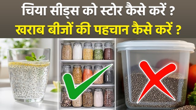 How To Store Chia Seeds: चिया सीड्स को स्टोर कैसे करना चाहिए | Chia Seeds Kab Kharab Ho Jate Hai