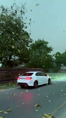 EXPENSIVE CAR SWAG VIRAL VIDEO \ CAR LOVER