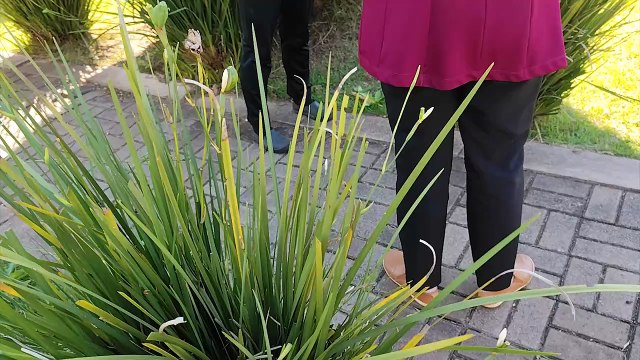 Mãe relata que filho começou a desenhar órgãos sexuais após ser vítima do Professor Monstro