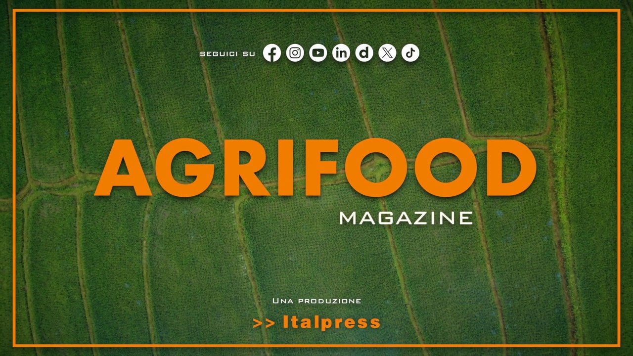 Agrifood Magazine - 17/9/2025