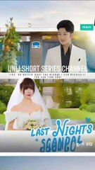 Last Night's Scandal