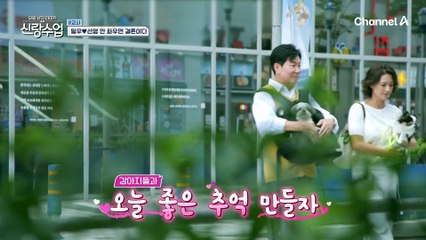 마리♥마린 '이제 같이 걸어볼까?' 강아지들과 함께하는 바닷가 산책