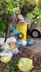 Quarto (NA) - Tolleranza zero contro lo sversamento abusivo  (17.09.25)