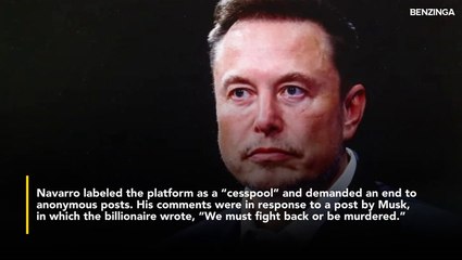 Peter Navarro Calls X A 'Cesspool,' Urges Elon Musk To 'Heal' It By Ending Anonymous Posts- 'No More Foreigners Swarming...'