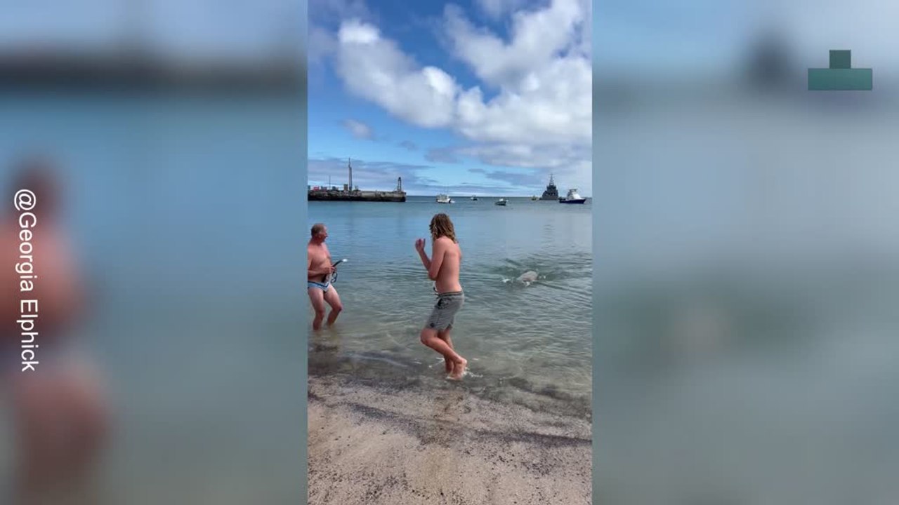 Scared by a Sea Lion