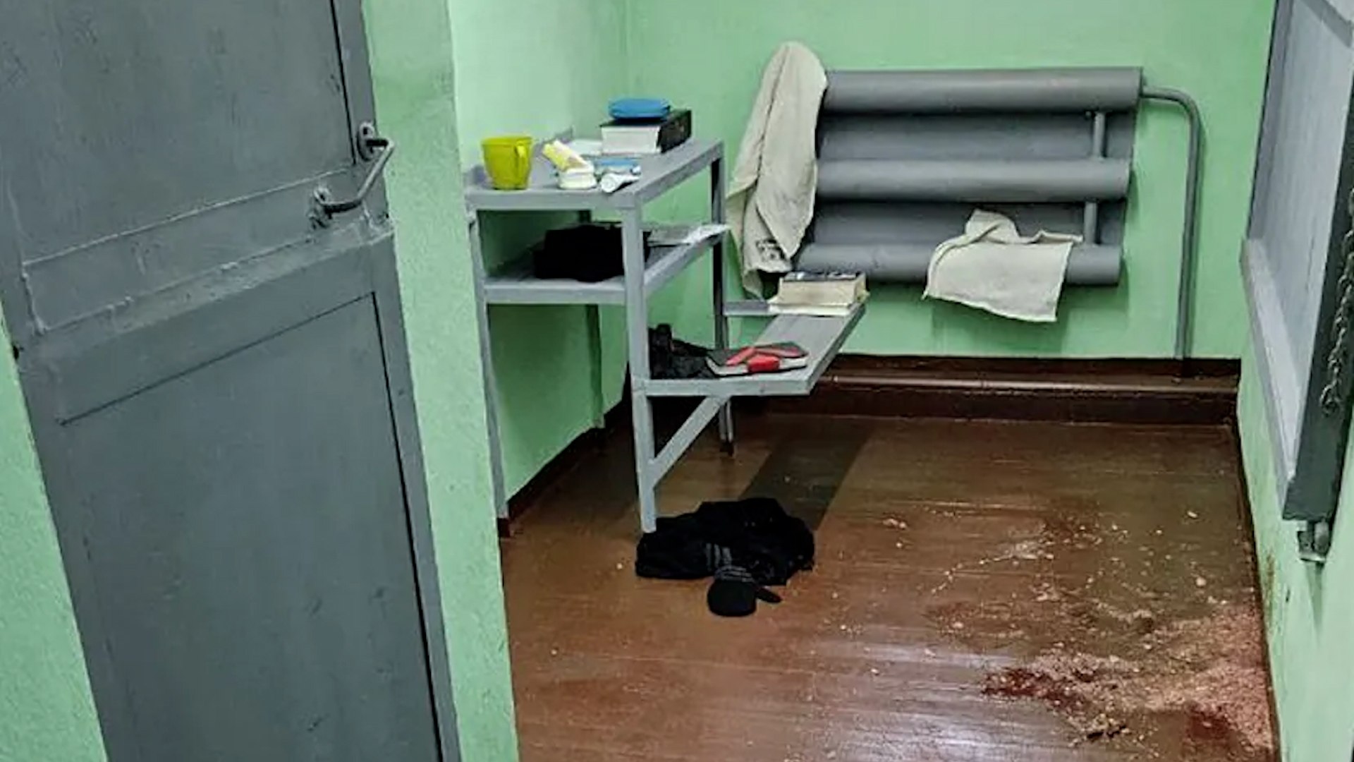 El disidente ruso Alexei Navalny fue envenenado en la c�rcel, seg�n confirmaron an�lisis de laboratorio realizados en dos pa�ses occidentales. As� lo ha asegurado su esposa, Yulia Navalnaya, quien revel� que el equipo del opositor logr� obtener muestras de su material biol�gico y trasladarlas a diferentes laboratorios en el extranjero.

Navalnaya explic� adem�s que cuentan con el testimonio de cinco empleados de la prisi�n que permiten reconstruir lo sucedido. "Hemos recolectado cada rastro de informaci�n, cada discrepancia en los documentos m�dicos, pistas ofrecidas por fuentes para obtener nueva informaci�n", se�al� en un v�deo difundido por la organizaci�n.

Seg�n detall�, "en febrero de 2024 logramos obtener y sacar restos de Navalny fuera del pa�s". Dos laboratorios independientes analizaron las muestras y "ambos han concluido de manera independiente que Alexei fue asesinado, contritamente: envenenado", afirm�.

La viuda del l�der opositor ruso enmarc� estas revelaciones como la confirmaci�n del "asesinato pol�tico m�s relevante de la dictadura de Putin".