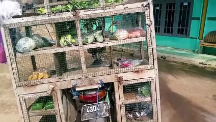 selling vegetables around on a motorbike 2