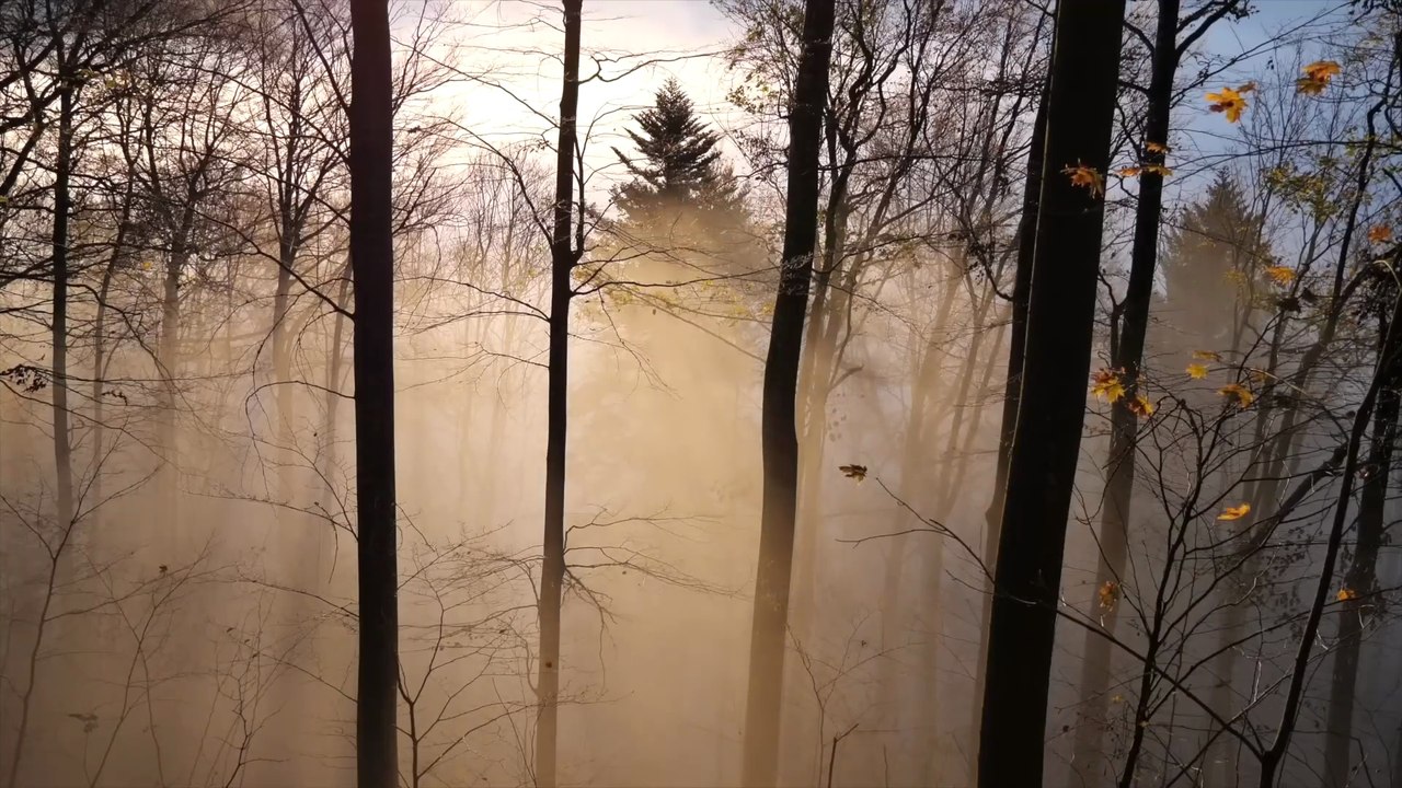 Very Romantic & Beautiful Autumn Fall Season Love & Nature Scenery