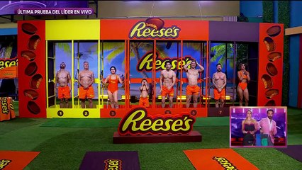 Ver La casa de los famosos México - Programa 166 HD