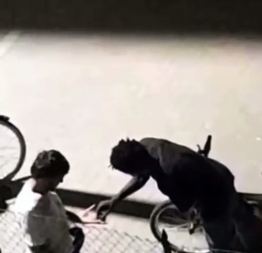 Image from field_mediaid