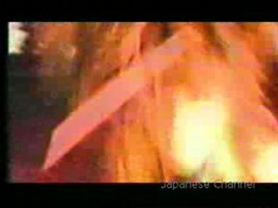 dir en grey Garden pv