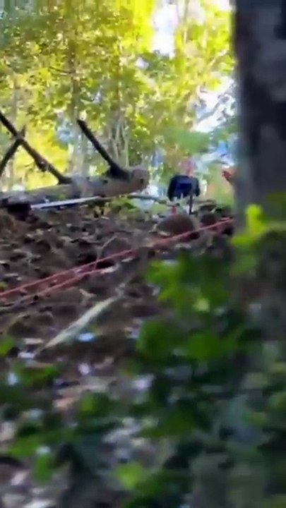 Morre mulher encontrada em barranco de 40 metros em Blumenau