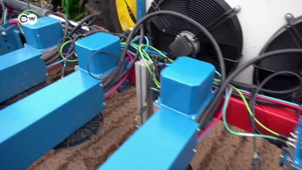 الذكاء الاصطناعي في الزراعة: الحقول الحديثة رقمية