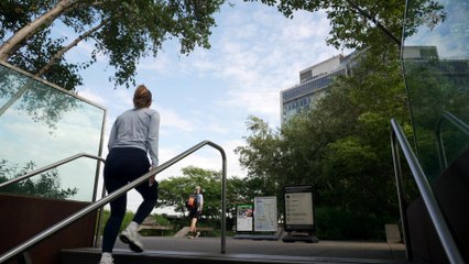 The High Line New York City Revisited (2025)