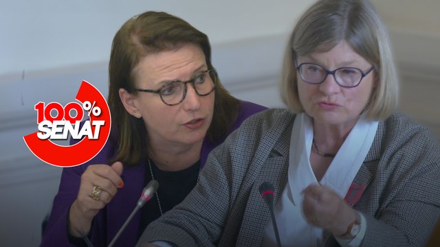 100% Sénat - Que disent les français de leurs services publics ?
