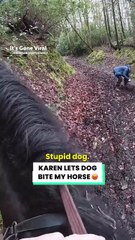 Dog owners need to be more responsible 😡