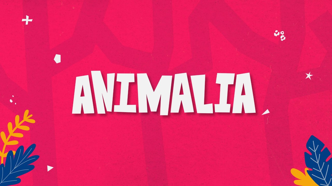 Promocional Animalia