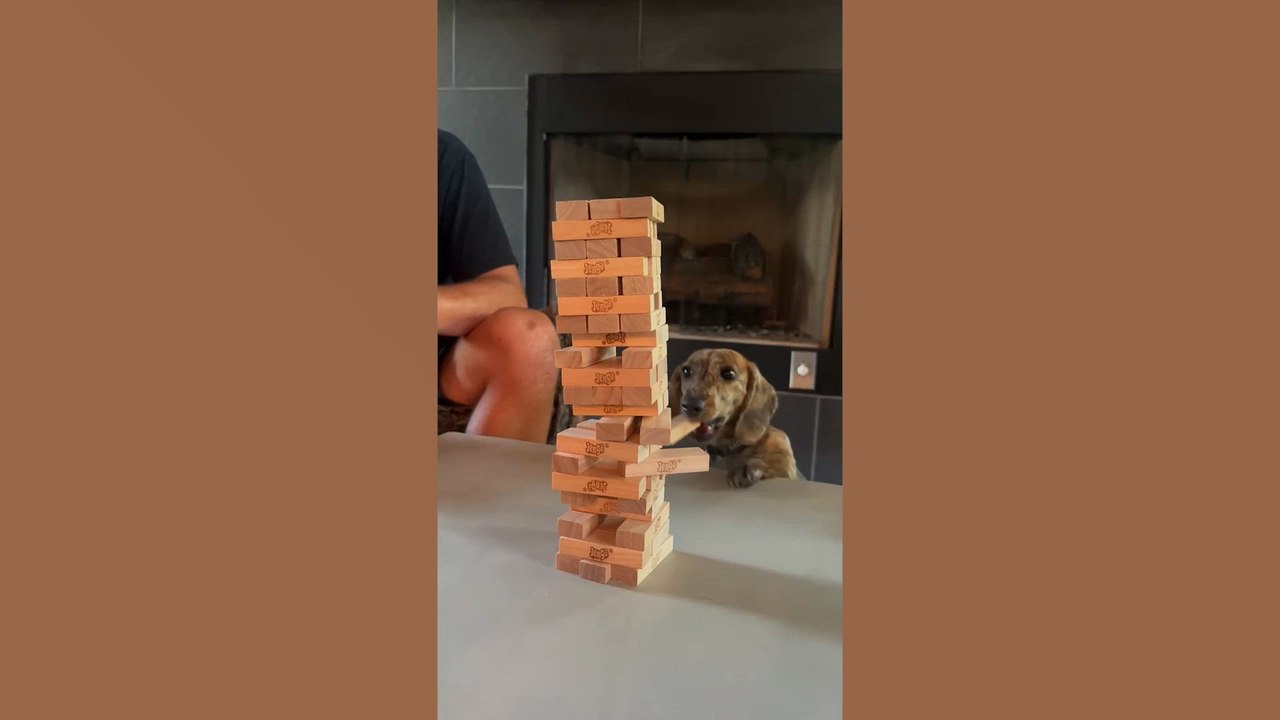 Hilarious Fails
