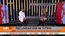 Fecundación in vitro: cómo la fertilidad integral cambia la visión de la infertilidad en México