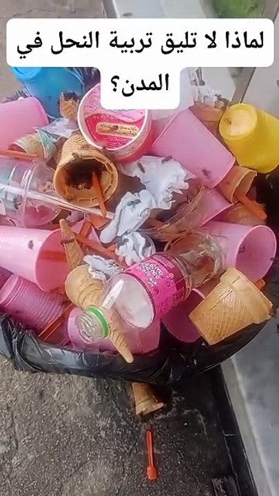 لماذا لا ينصح بتربية النحل في المدن ؟