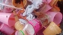 لماذا لا ينصح بتربية النحل في المدن ؟