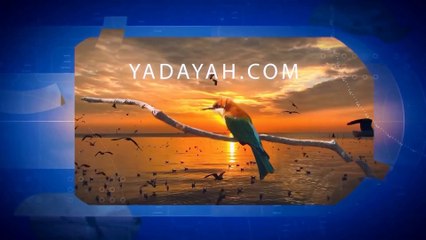 A Voice Episode Twenty~Five 17 September 2025