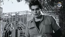 فيلم صراع فى الميناء