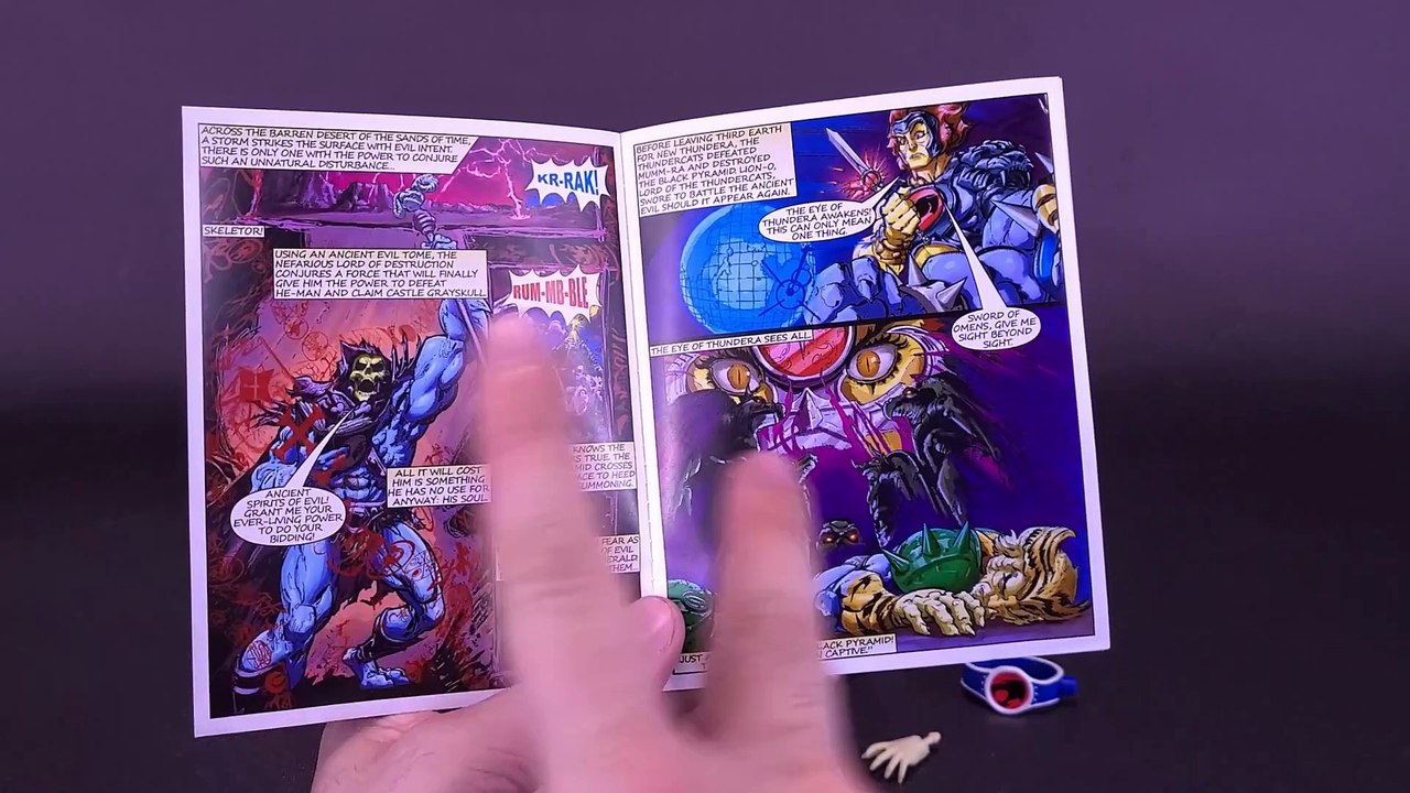 Mattel Masters Of The Universe X ThunderCats Origins Lion-O Figure Review