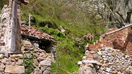 Help We Bought a Village S04E13