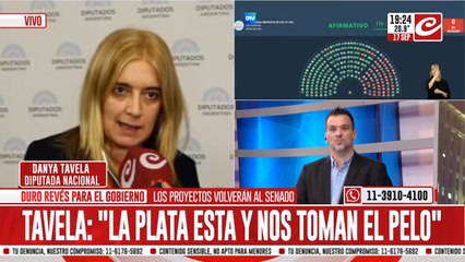 Danya Tavela, diputada nacional: "La plata esta y nos toman el pelo"