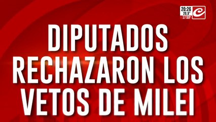 Diputados rechazaron los vetos de Milei