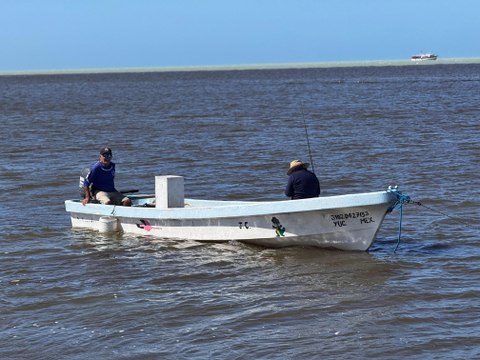 Ofrecerán apoyos a lanchas turísticas de Celestún y Río Lagartos en temporada baja en Yucatán