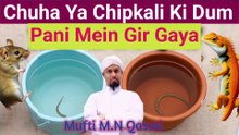 Chuha Ya Badi Chhipkali Ki Dum Pani Mein Gir Jaye To Pani Napaak? Islami Hukm