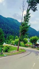 ✨ Paradise on Earth – Kashmir’s valley in its purest charm 🌿