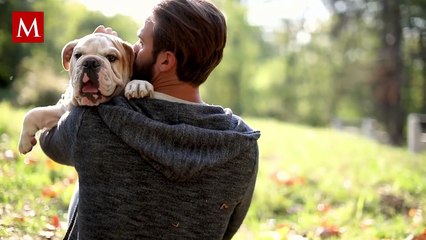 Justicia para Chacarrón: perrito pierde la vida tras ataque con arma blanca en CDMX
