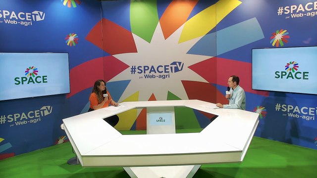 Comment gérer efficacement le stress thermique des vaches laitières ?