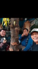 Filemon Camp - Cisadon 14092025