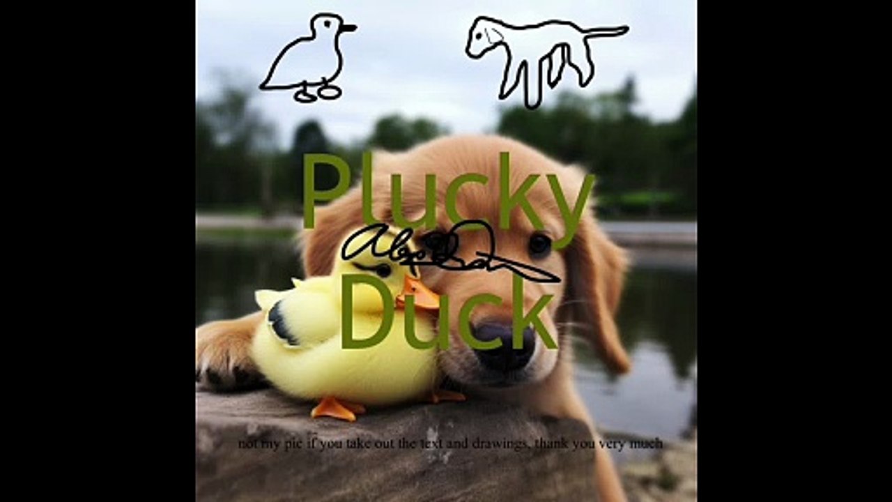 Plucky Duck