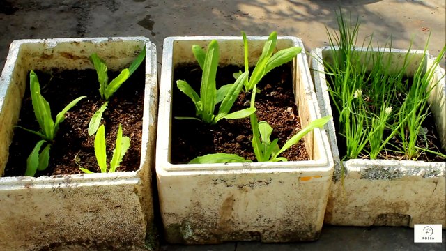 How to Stretch a Fixed Income Without Sacrificing Comfort