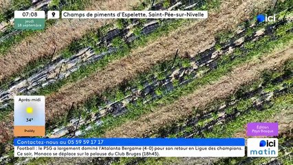 18/09/2025 - ici matin par ici Pays Basque en vidéo