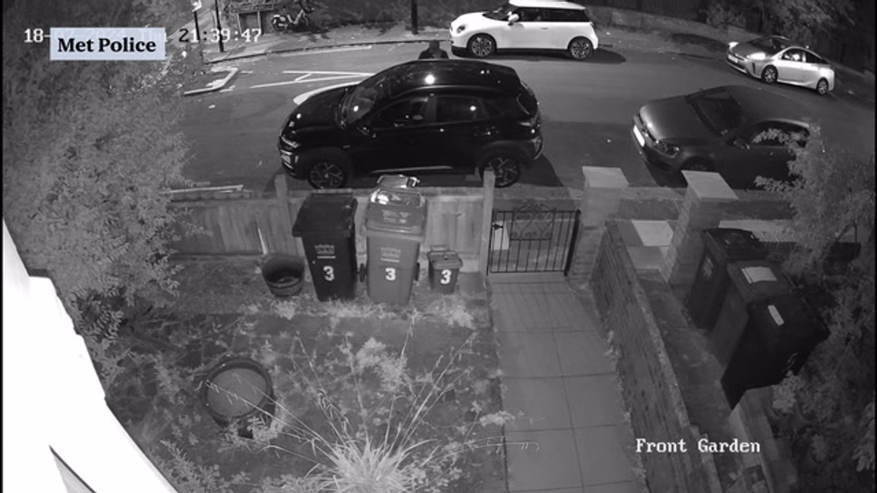 CCTV captures thief stealing a car in south London