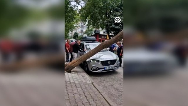 Kökünden kopan ağaç otomobilin üzerine devrildi