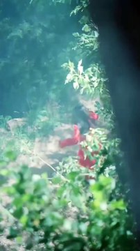 Quien rompa las 3 reglas será devorado por fuerzas oscuras y malignas!