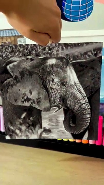 Dessin réaliste d'un éléphant réalisé à la pierre noire #dessin #art #drawing
