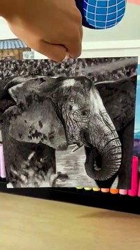 Dessin réaliste d'un éléphant réalisé à la pierre noire #dessin #art #drawing